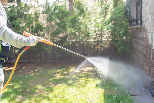 Best Rodent Control Near Me  in Roanoke, VA