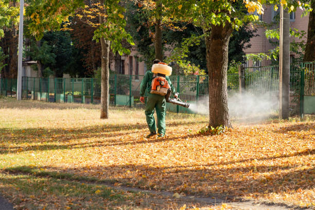 Best Affordable Pest Control Services  in Roanoke, VA