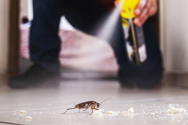 Best Termite Control Services  in Roanoke, VA