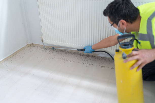 Best Local Pest Control Services  in Roanoke, VA