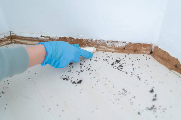 Best Wildlife Control Services  in Roanoke, VA