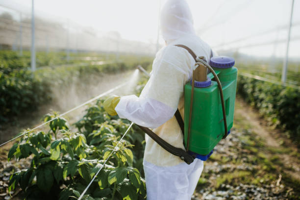 Best Pest Control for Homes  in Roanoke, VA